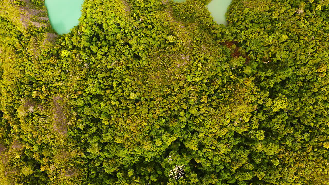 belleza en una imagen en movimiento