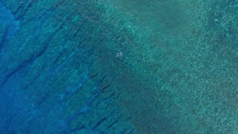 Panoramic shot of coral reef and ocean in Okinawa, Japan
