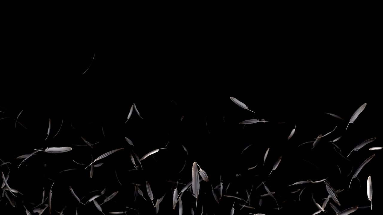 알파 채널과 함께 떨어지는 털 전환 효과