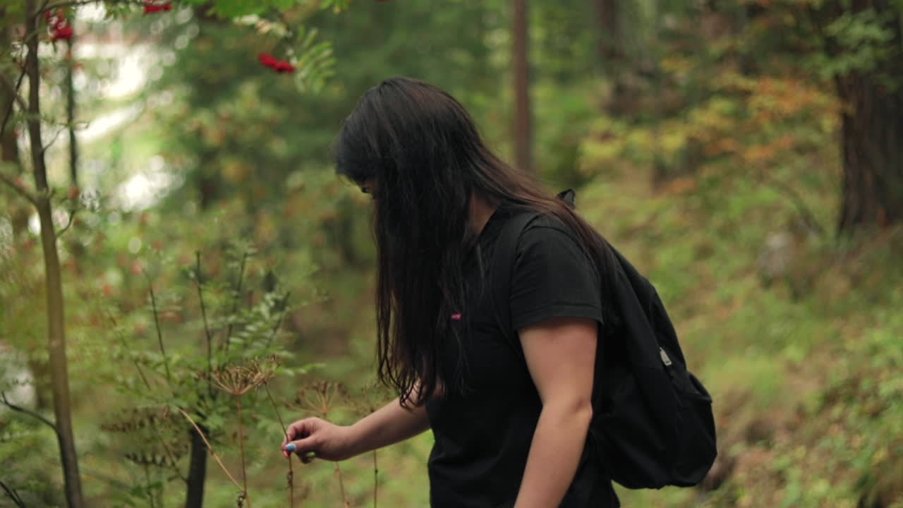 스위스 알프스 산맥 에서 꽃 을 뽑는 젊은 여자