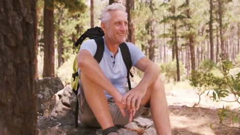 un excursionista sentado en el bosque