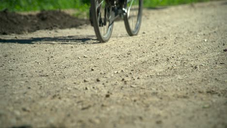 slow motion: bicycles in the forest