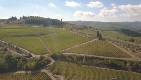 slow-fly-over-and-downwards-tilt-over-grape-fields-in-Tuscany,-Italy-4k