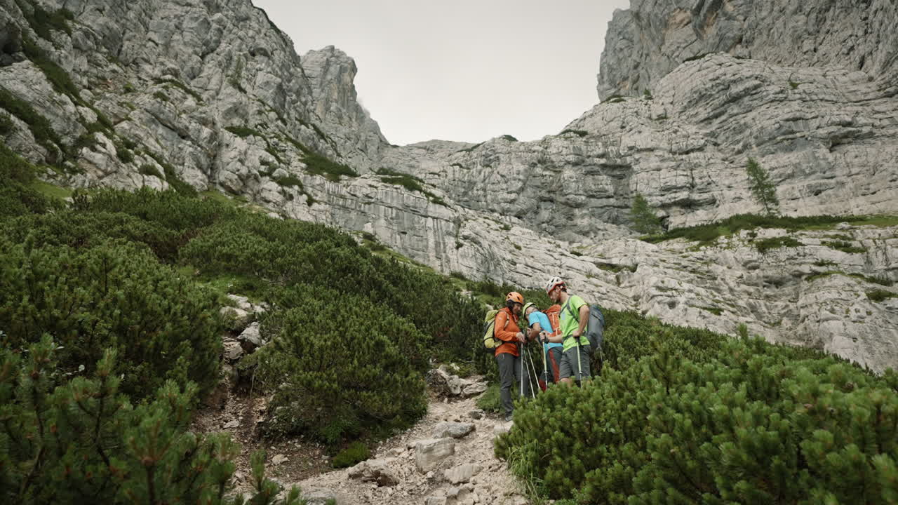 excursionistas parando para ver y luego continuar con la escalada en la montaña entre las pequeñas coníferas