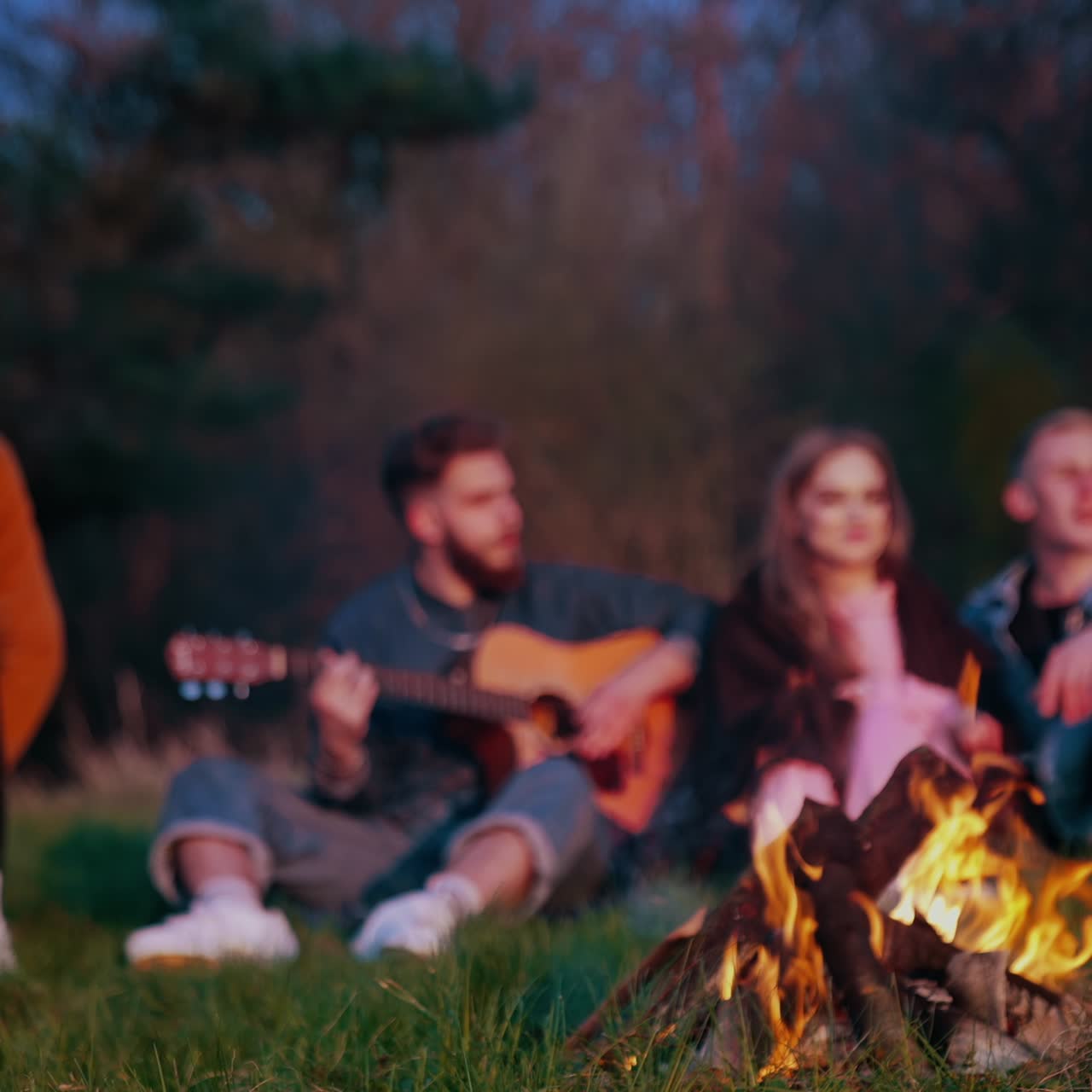 Group of friends near the campfire. Young people spending happy time together while sitting near the bonfire in the evening. Young man playing the guitar in nature