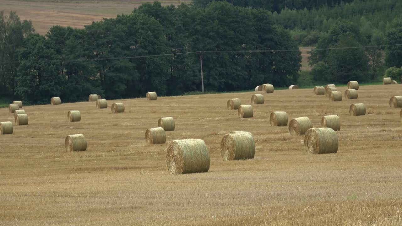 hermoso paisaje. campo agrícola. paquetes redondos de balas de paja en el campo.