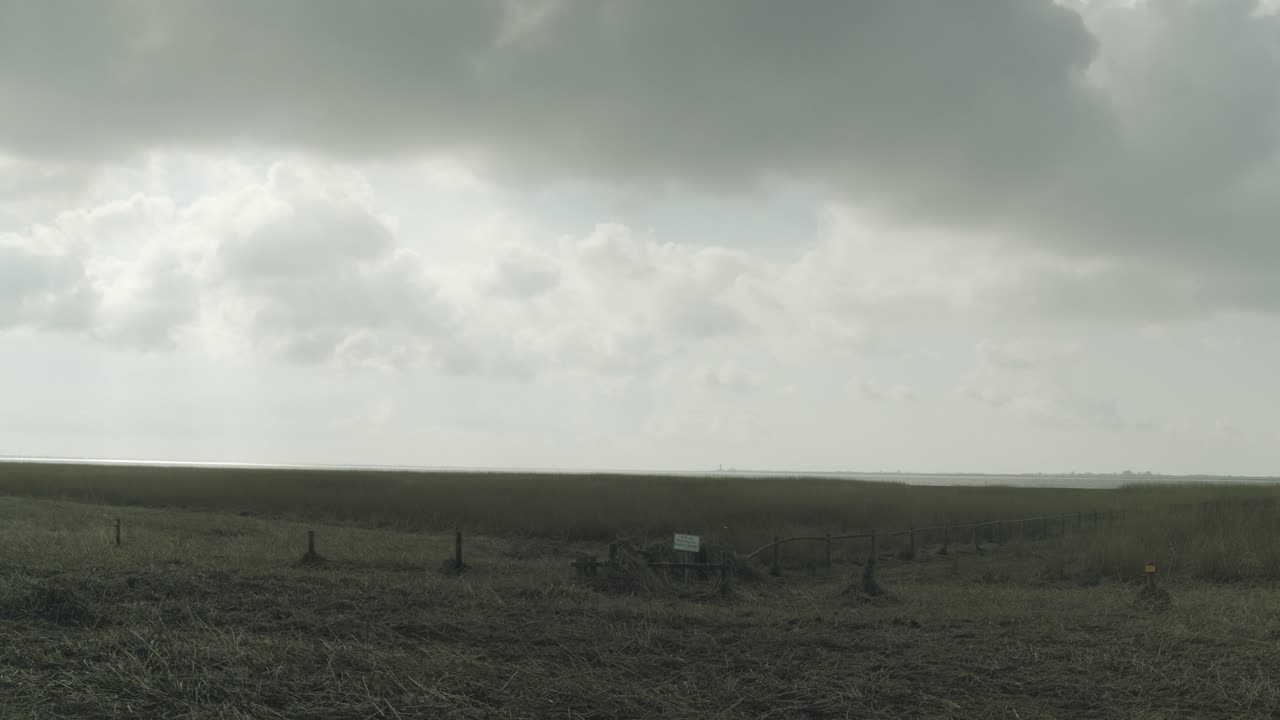 들판의 오래된 울타리 뒤에 흔들리는 마른 풀, 와이드 샷