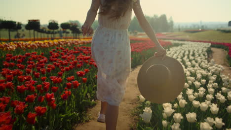 Unrecognizable-girl-running-in-tulip-field.-Young-woman-legs-running-in-park.