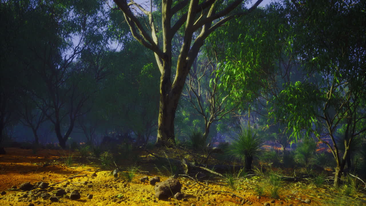 bosque verde exuberante con la luz del sol filtrando a través de los árboles al amanecer