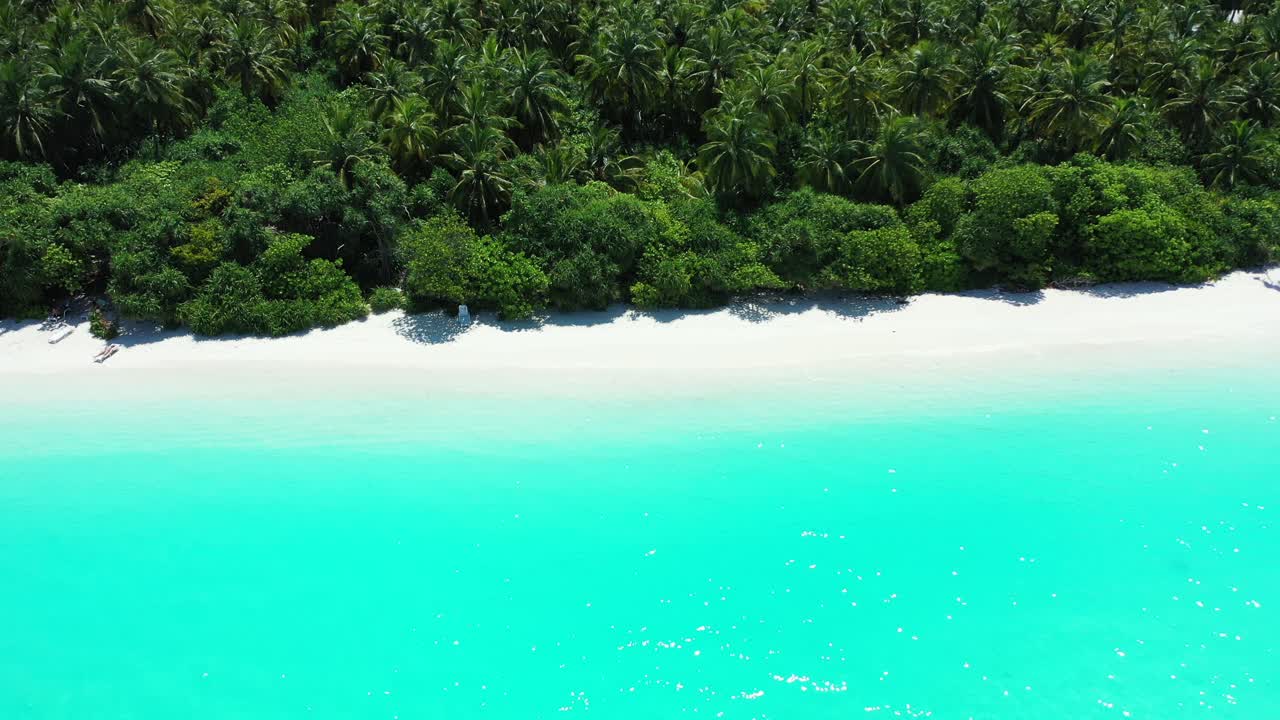 Lysande turkos lagun med lugnt, klart vatten som sköljer den vita sanden på en exotisk strand på en tropisk ö med en palmträskskog, Karibien