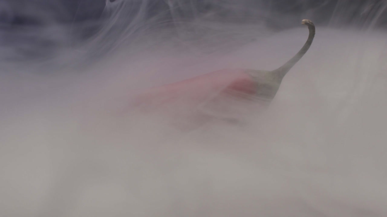 연기 된 은 고추