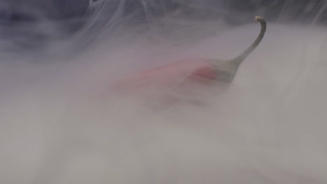 red chili pepper in smoke