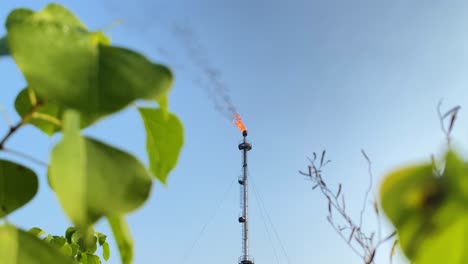 perspectiva de rana de escape de gases ardientes a través de hojas