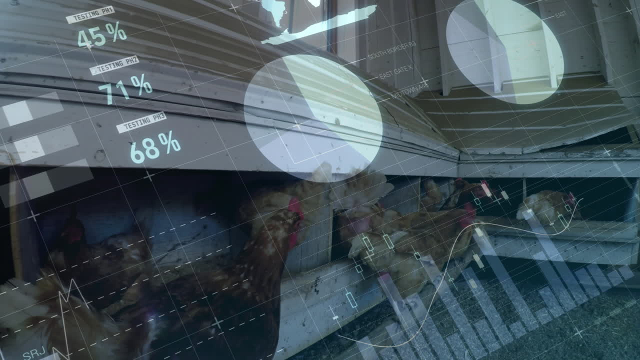 데이터 경향을 보여주는 집의 에 대한 그래프와 퍼센트 애니메이션