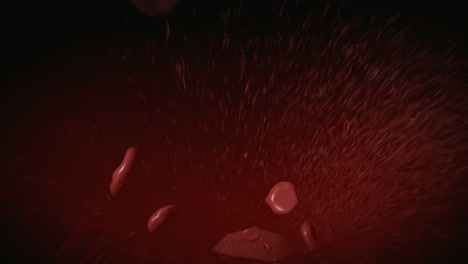 medical animation of blood cells