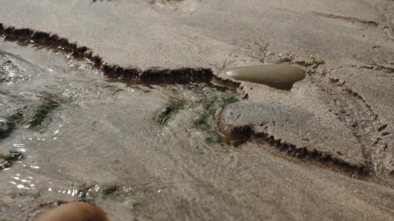 Acqua che scorre su terreno sabbioso, creando intricati disegni di erosione e un piccolo letto di ruscello, evidenziando le texture naturali
