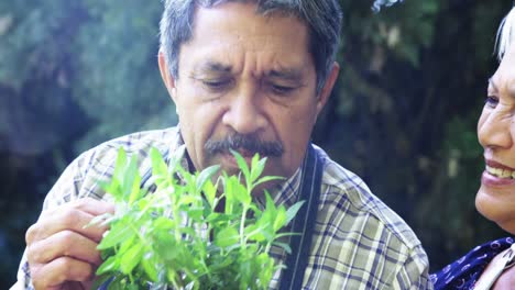 senior couple smelling plant