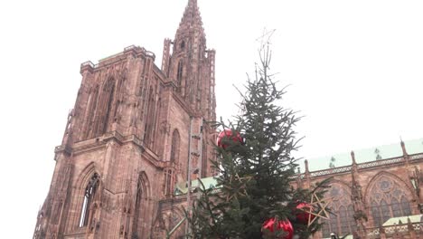 mirando hacia arriba un árbol de navidad con adornos rojos gigantes frente a la catedral de estrasburgo mercado navideño festivo en estrasburgo, francia europa