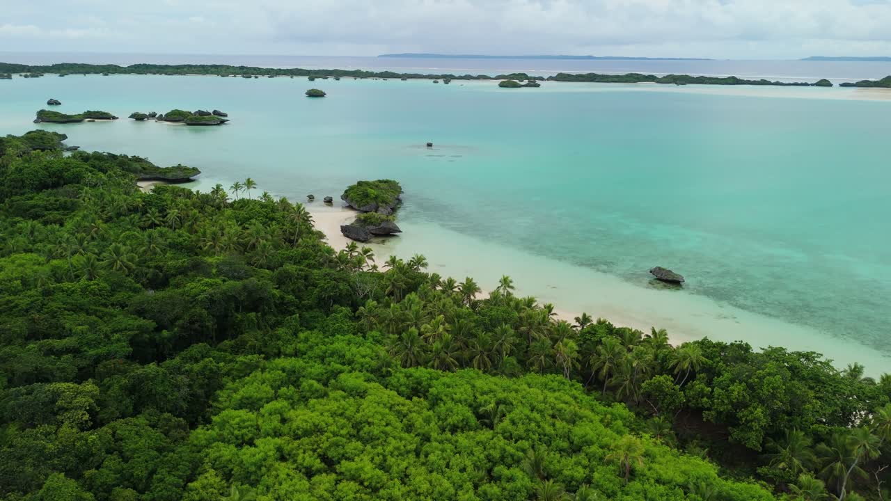 volando lentamente sobre el bosque de palmeras para revelar la playa en la remota isla de fiji rodeada de aguas tranquilas