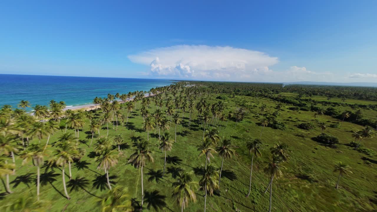 FPV drone shot over palm trees, toward a paradise beach, in the sunny Caribbean