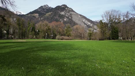 Campo-De-Hierba-Y-Bosque-En-La-Parte-Inferior-Del-Pico-De-La-Montaña-Weesen-Suiza