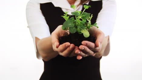 mujer sosteniendo una planta en sus manos