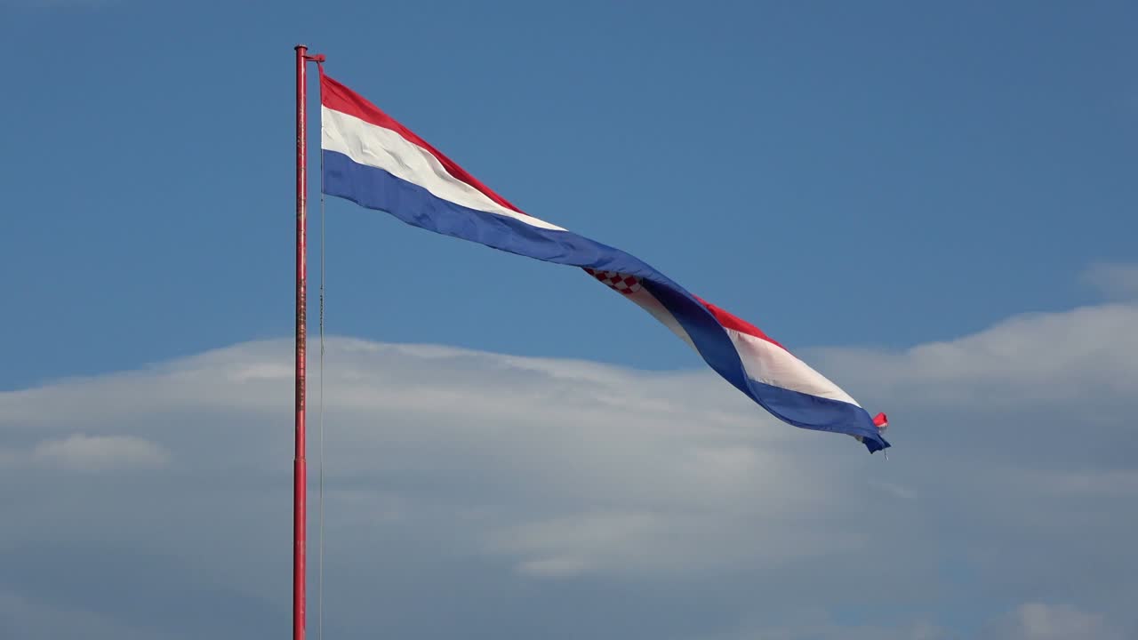 크로아티아의 아름다운 큰 발이 바람에 흔들리는 파란 하늘