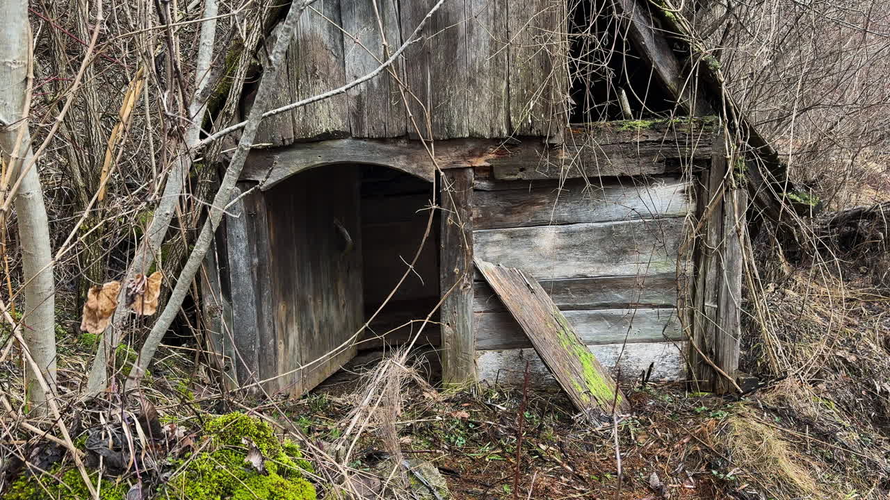 Old wooden watermill in a state of decay, surrounded by dense vegetation and bare branches. The partially open door and broken planks reveal abandonment