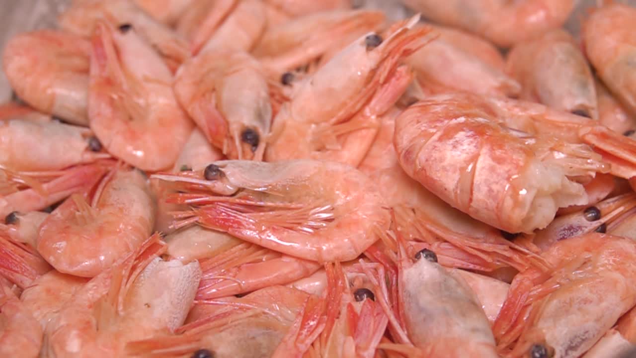 신선한 분홍색 새우