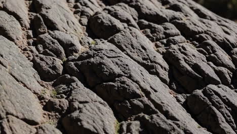 close-up view of rock texture