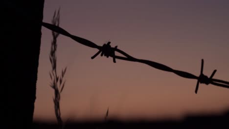 prikkeldraad hek silhouet bij zonsondergang op het platteland