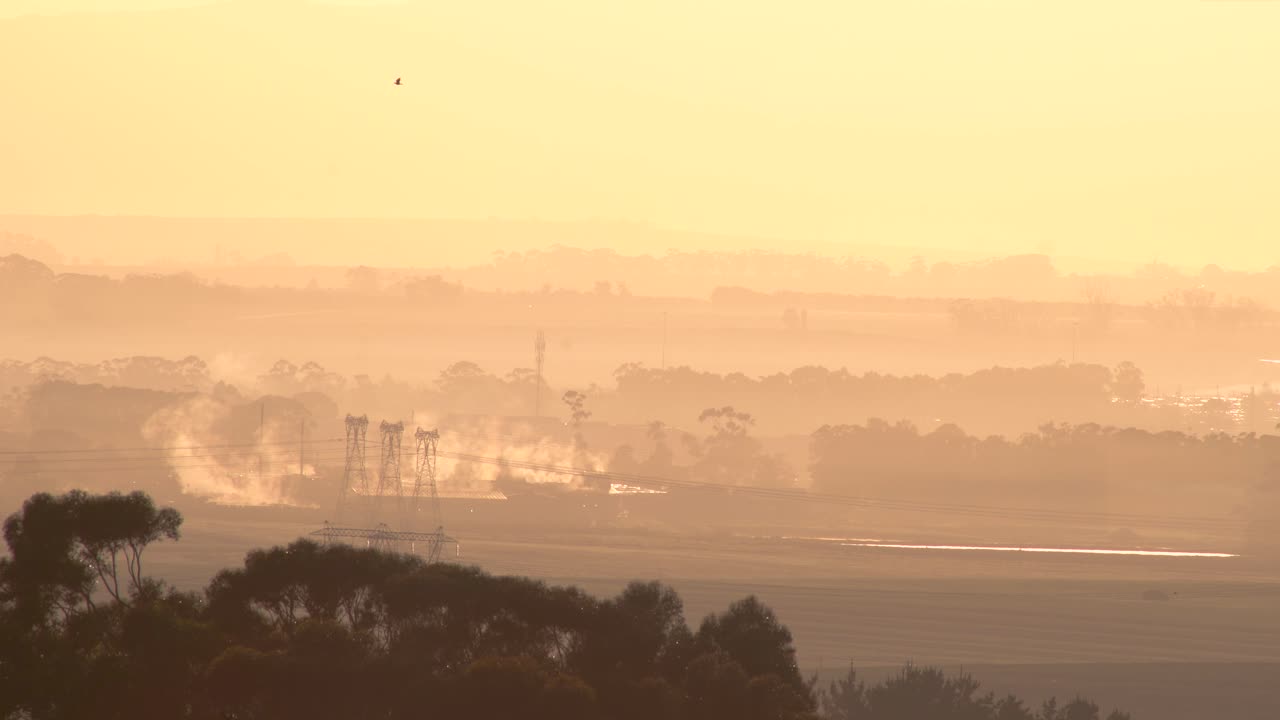 아침 날의 안개