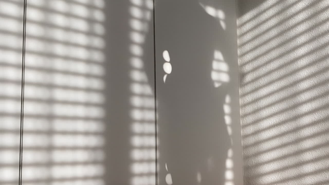 Shadow of blinds and a topless woman taking off her shorts on a white wardrobe.