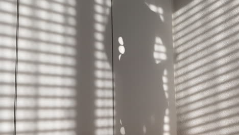 shadow of blinds and a topless woman taking off her shorts on a white wardrobe.