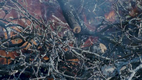 Burning-pile-stack-of-tree-branches-close-up-time-lapse