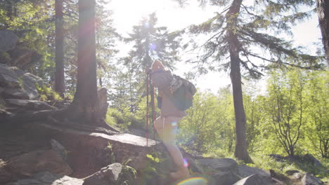 hiking in a mountain forest