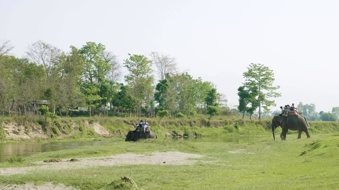 코끼리 사파리 (elephant safari) 는 네팔의 차이트완에 있는 국립공원 (national park) 의 정글에서 관광객들과 함께 하는 사파리입니다.