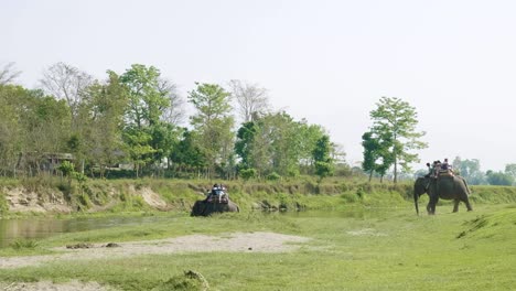 elephant safari with tourists in jungle, national park in chaitwan, nepal.