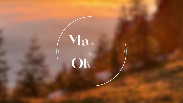 Wedding invitation graphic designs