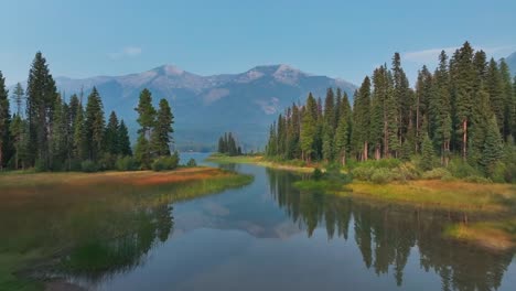 perfect water reflections of pine trees with mountain backdrop in holland lake, flathead national forest, montana