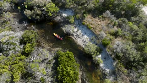 Kayakinh-through-a-river-in-Fraser-Island,-surrounded-by-mangrove-trees-on-a-sunny-day