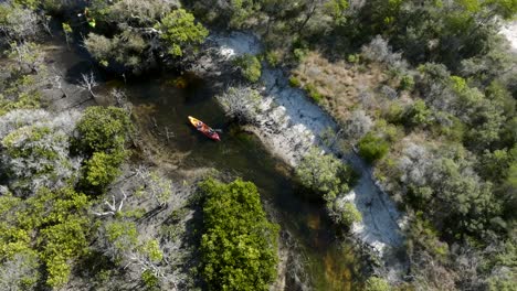 kayakinh through a river in fraser island, surrounded by mangrove trees on a sunny day