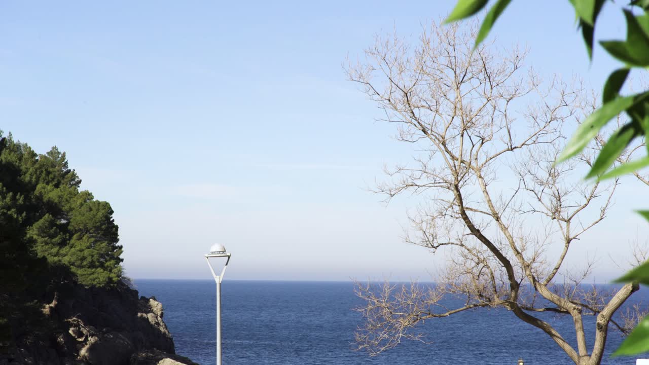 벌거벗은 나무와 조명 기둥이 있는 해안 풍경