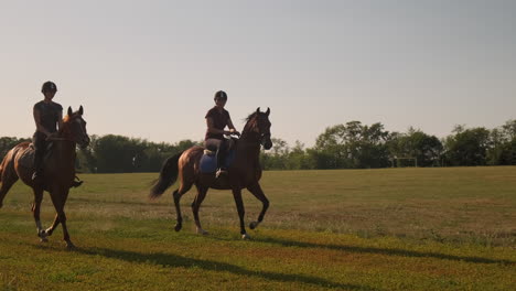 two people horseback riding in a field