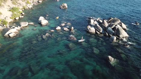 Vista-Aérea-En-Paddle-Boarder-En-Agua-Cerca-De-La-Pintoresca-Costa-Del-Lago-Tahoe,-Sierra-Nevada,-Ee.uu.