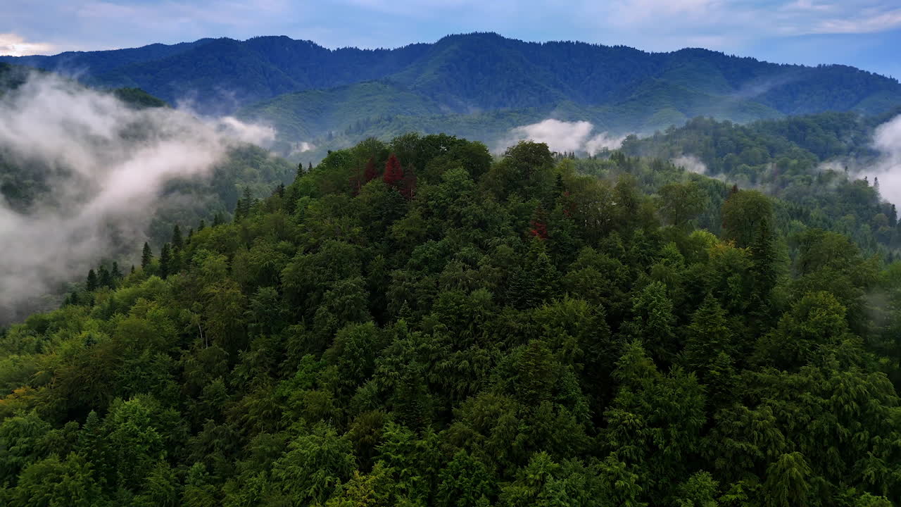Lush mountains shrouded in morning mist. Green mountains rise under a cloudy sky, enveloped in swirling mist during early morning light
