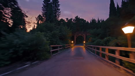 scenic forest road at sunset