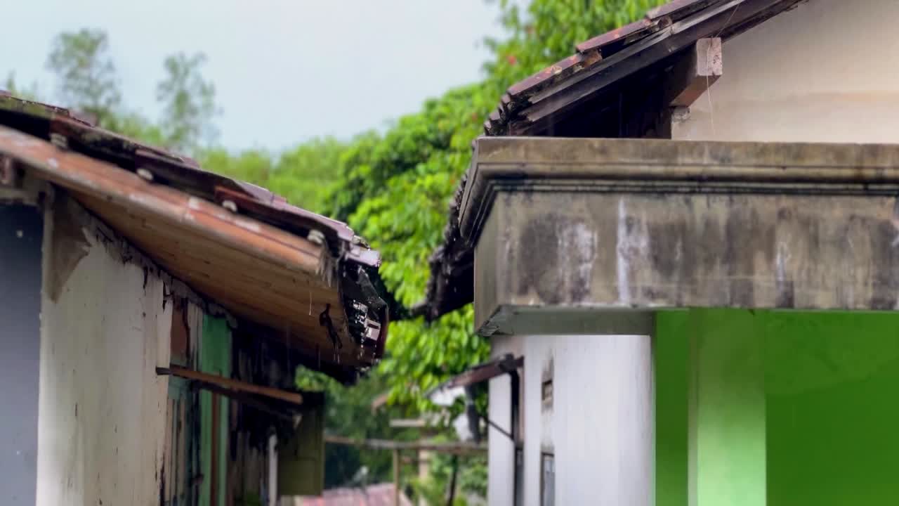집 지붕에서 방울이 떨어집니다.