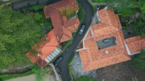 red rooftops old town contrast with lush greenery in quiet district top view.