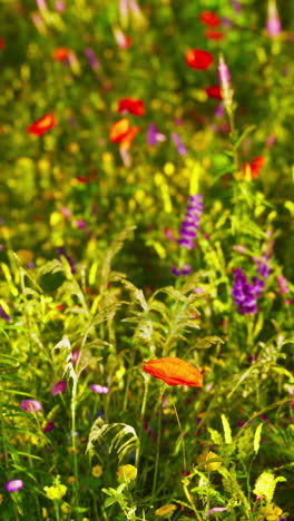 flores silvestres en un prado